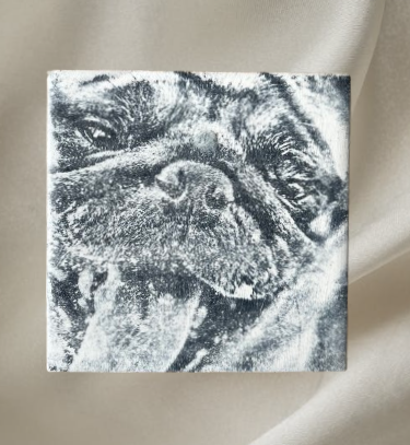 Pet Coasters