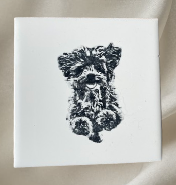 Pet Coasters